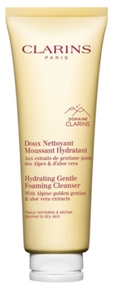 CLARINS HYDRATING GENTLE FOAMING CLEANSER